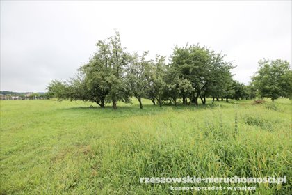 działka na sprzedaż 2200m2 działka Malawa