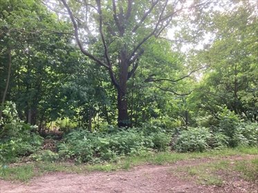 działka na sprzedaż 4767m2 działka Aleksandrów Łódzki, Sportowa