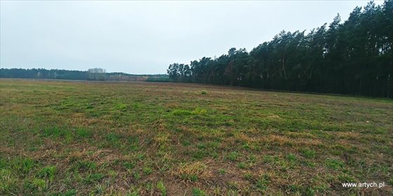 działka na sprzedaż 1300m2 działka Teofilówka