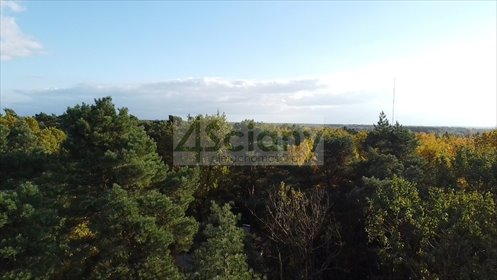 Działka leśna 2700 m² w Sękocinie-Las, cicha okolica - polecam! działka Sękocin-Las