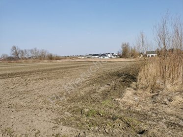 działka na sprzedaż 1010m2 działka Falenty Nowe