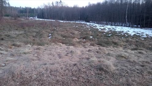 działka na sprzedaż 7000m2 działka Dziechno