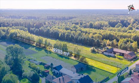działka na sprzedaż 4983m2 działka Cynków, Leśna