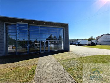 Przestronny lokal 500 m² w Kielcach, idealny na biznes! polecam! lokal użytkowy Kielce