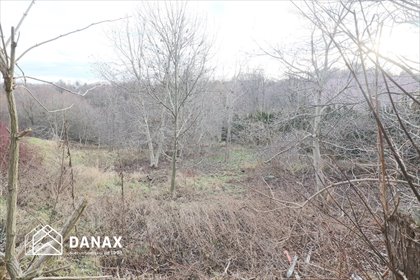 działka na sprzedaż 7700m2 działka Gaj