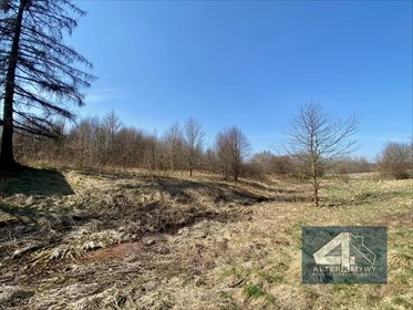 działka na sprzedaż 10400m2 działka Siepraw