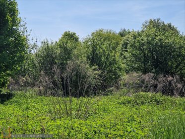 działka na sprzedaż 3321m2 działka Brzozówka Korzkiewska