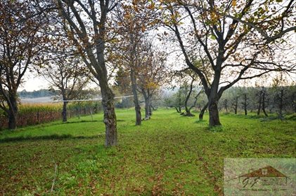 działka na sprzedaż 1500m2 działka Żurawica