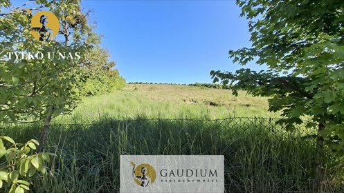 działka na sprzedaż 1385m2 działka Mieścin
