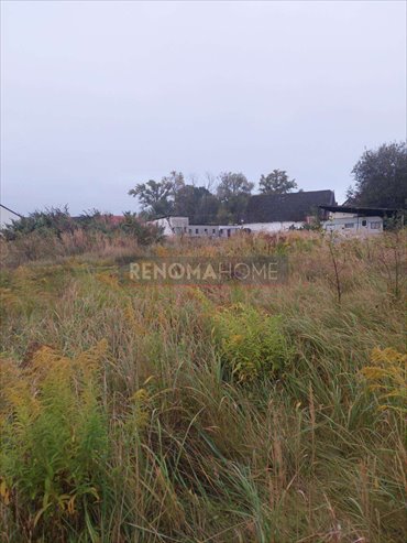 działka na sprzedaż 1400m2 działka Wiercień