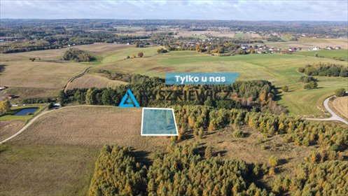 działka na sprzedaż 3474m2 działka Lisewiec, Nad Stawami