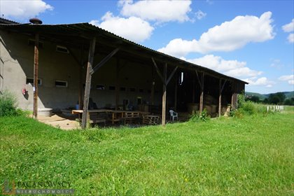 Działka inna pod dzierżawę Pisary 9 500m2 Foto 7