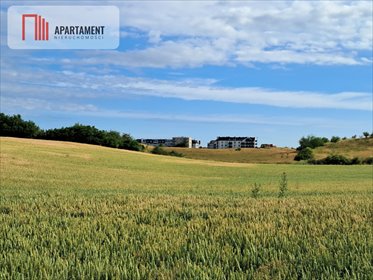 działka na sprzedaż 83402m2 działka Czarlin, Lipowa