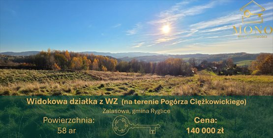 działka na sprzedaż 5800m2 działka Zalasowa