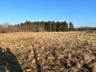 działka na sprzedaż 3435m2 działka Wiklino