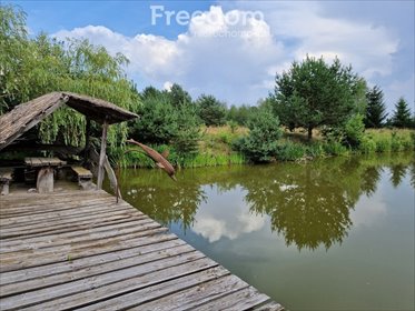 Rekreacyjna działka 15 139 m² z domkiem i stawem - polecam! działka Głuch