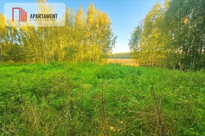 Działka 49 arów z lasem i spokojem w Chełmżycy - polecam! działka Chełmżyca