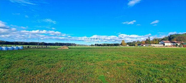 działka na sprzedaż 3005m2 działka Zelewo