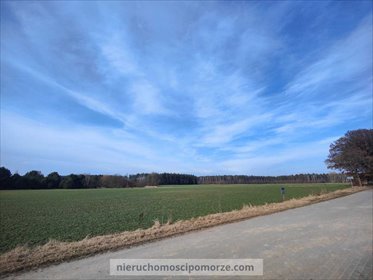 działka na sprzedaż 11700m2 działka Dąbki