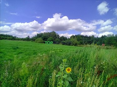 Polecam działkę 3053 m² w Książenicach, MPZP, media, inwestycja działka Książenice