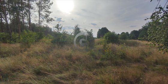 Polecam działkę 1343 m² w Boleminie - płaski teren, media w pobliżu działka Bolemin