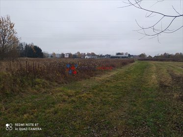 Działka 3250 m² pod zabudowę jednorodzinną z mediami działka Wilcza Góra