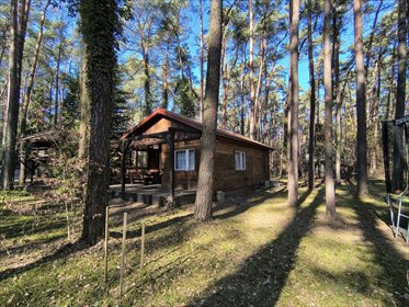 działka na sprzedaż 1569m2 działka Sokolniki-Las, Łódzka