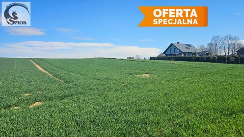 Sprzedam działkę 1500 m² w Wysocicach z mediami i lasem działka Wysocice