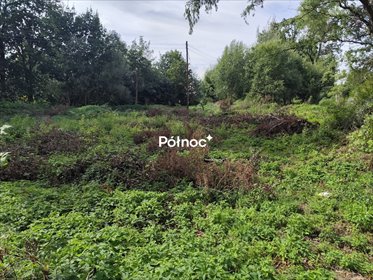Zapraszam do zakupu działki 2900 m² z fundamentami pod dom w Niwnicy działka Niwnica