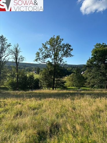 działka na sprzedaż 1505m2 działka Leszczyniec