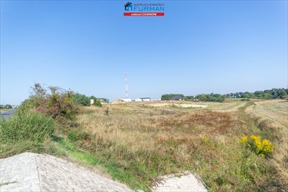 działka na sprzedaż 19200m2 działka Rosko