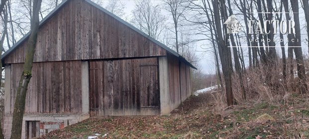działka na sprzedaż 8000m2 działka Sędziszowa