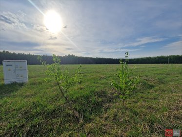 Działka 1300 m² z warunkami zabudowy w Jońcu działka Joniec