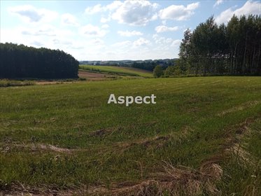 działka na sprzedaż 3702m2 działka Rzeszów