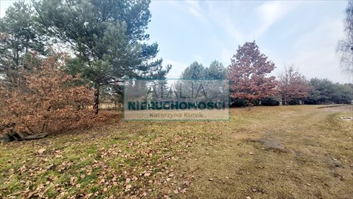 Działka inwestycyjna 7700 m² z budynkami i mediami działka Budy Michałowskie