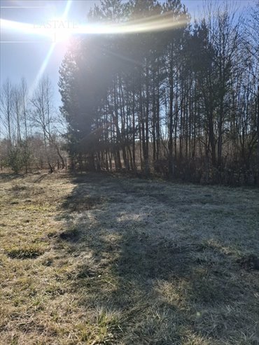 działka na sprzedaż 1200m2 działka Nowy Prażmów, Akacjowa