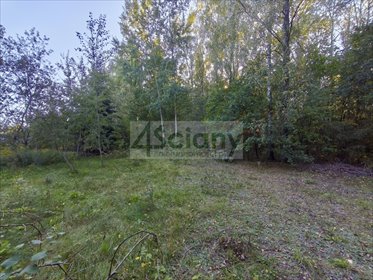 Działka 1240 m² w Ojrzanowie (media w drodze) działka Ojrzanów