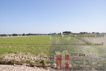 działka na sprzedaż 14600m2 działka Krasne