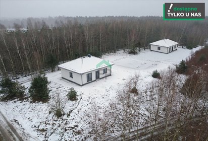 dom na sprzedaż 96m2 dom Truskolasy