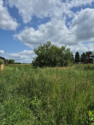 działka na sprzedaż 1066m2 działka Rachowice, Miła