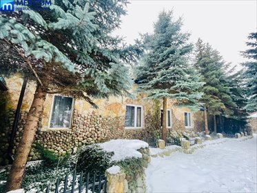 Przestronny dom z możliwością adaptacji na działalność, 3000 m2 działki dom Rokitno