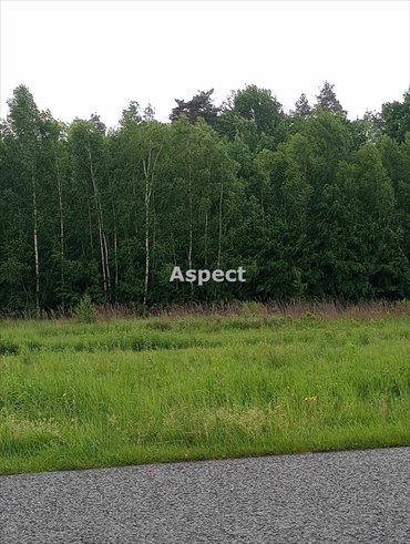 działka na sprzedaż 4720m2 działka grodzisko dolne, grodzisko dolne, zmysłówka