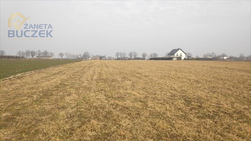 Działki rolne z warunkami zabudowy w Strzyżewiu polecam działka Strzyżew