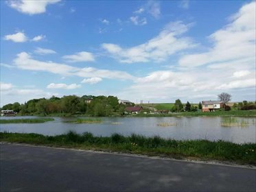 działka na sprzedaż 46160m2 działka Klementowice