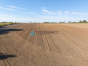 działka na sprzedaż 35000m2 działka Debrzno