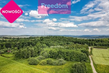 Działka rekreacyjna na sprzedaż Borownica 25 700m2 Foto 2