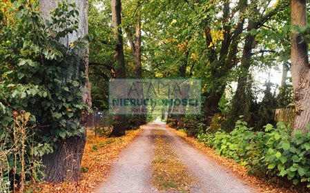 Działka 1580 m² z mediami, planem MZ, Adamowizna działka Adamowizna