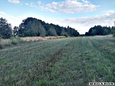 Działka 5630 m² w Częstochowie (spokojna okolica) działka Częstochowa, Wyczerpy Górne