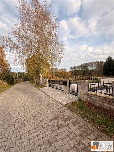 Działka 3077 m² z mediami, las, asfalt w Łobezie działka Łobez