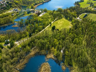 Działka 10 300 m² z warunkami zabudowy - las i strumyk działka Wierzchucinek